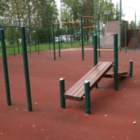 Calisthenics Park at улица Лётчика Полагушина, Зеленоград - thumbnail 2