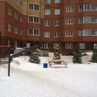 Calisthenics Park at Центральная улица, Химки - thumbnail 4
