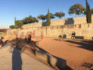 workout-place-thumbnail