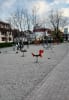 workout-place-thumbnail