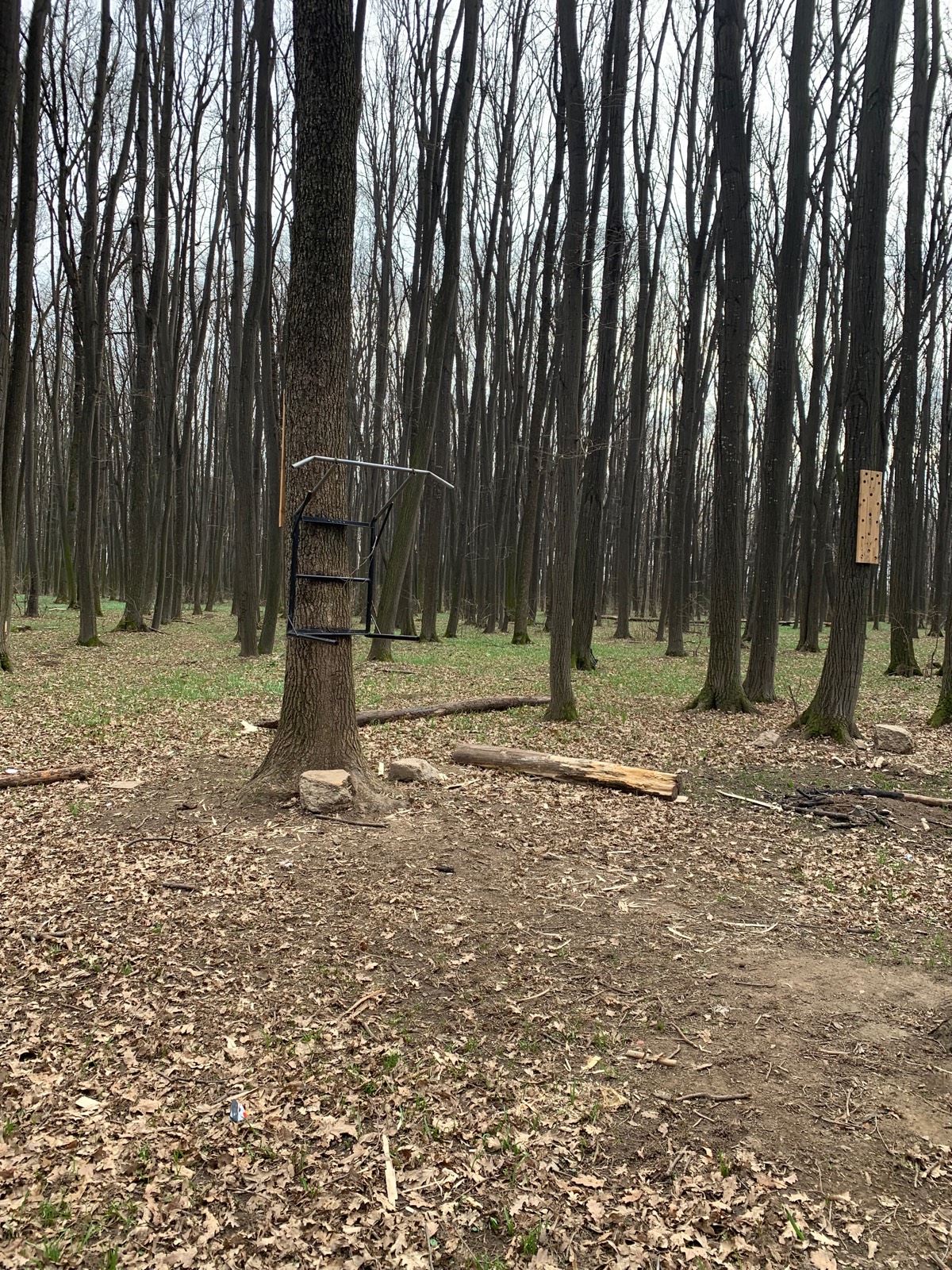 workout-place