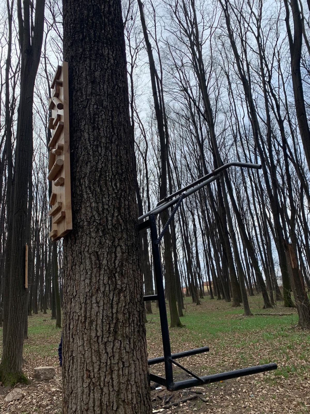 workout-place