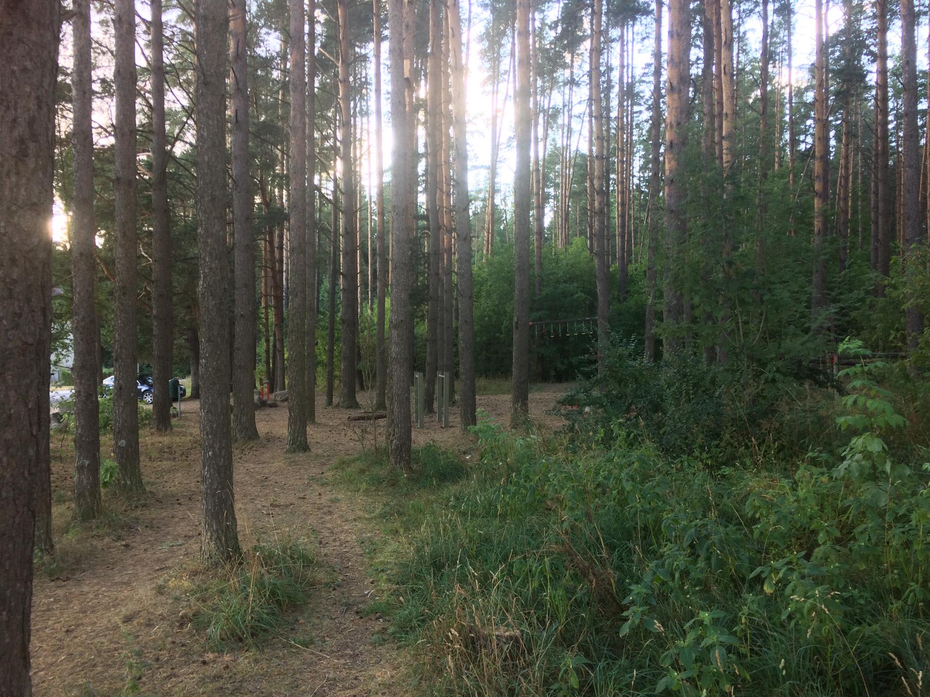 workout-place
