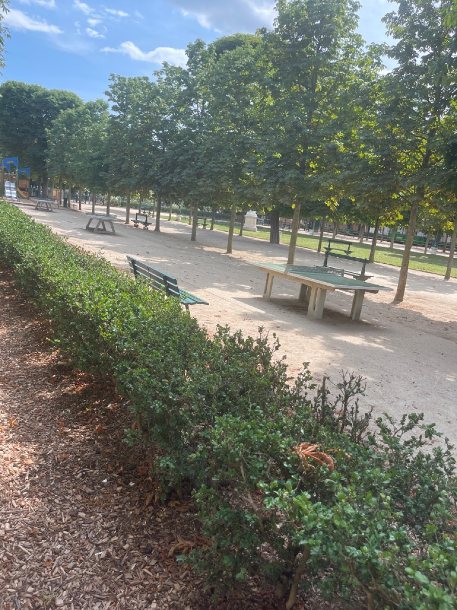 workout-place