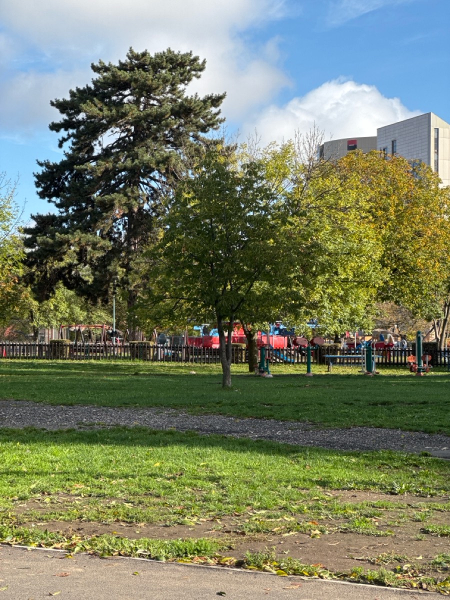 workout-place
