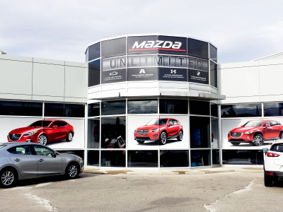 Dealership window graphics, Markham, Ontario