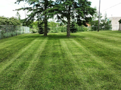 Striping Perfection!