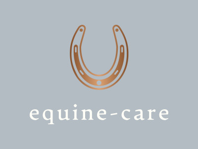 Equine PEMF Therapy