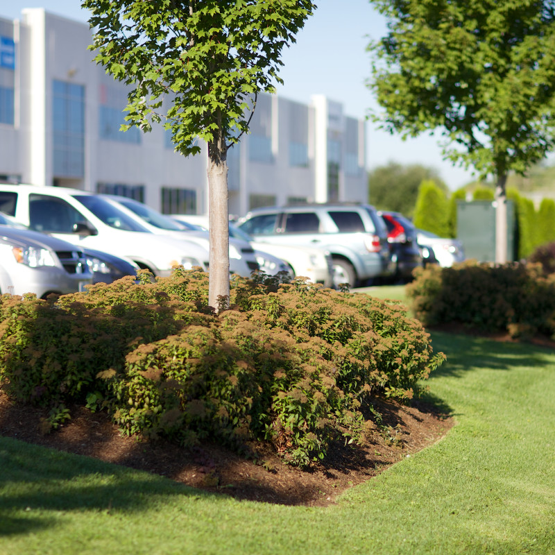 DeVries Landscaping and Maintenance Inc. Grimsby & Stoney Creek