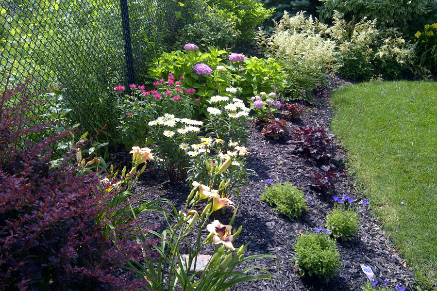Spring & Fall Cleanup