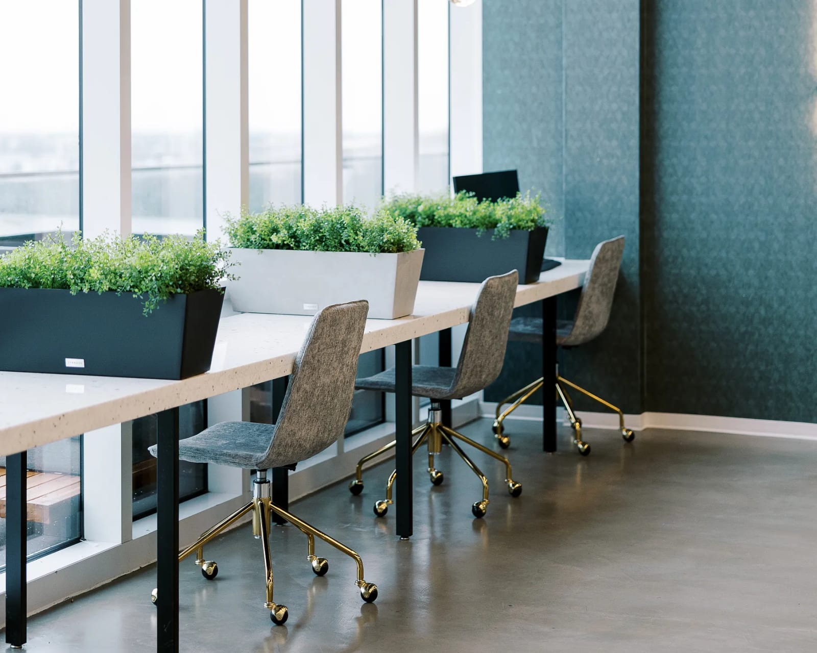 Coworking hot desk area with individual work tables, plants, and floor-to-ceiling windows