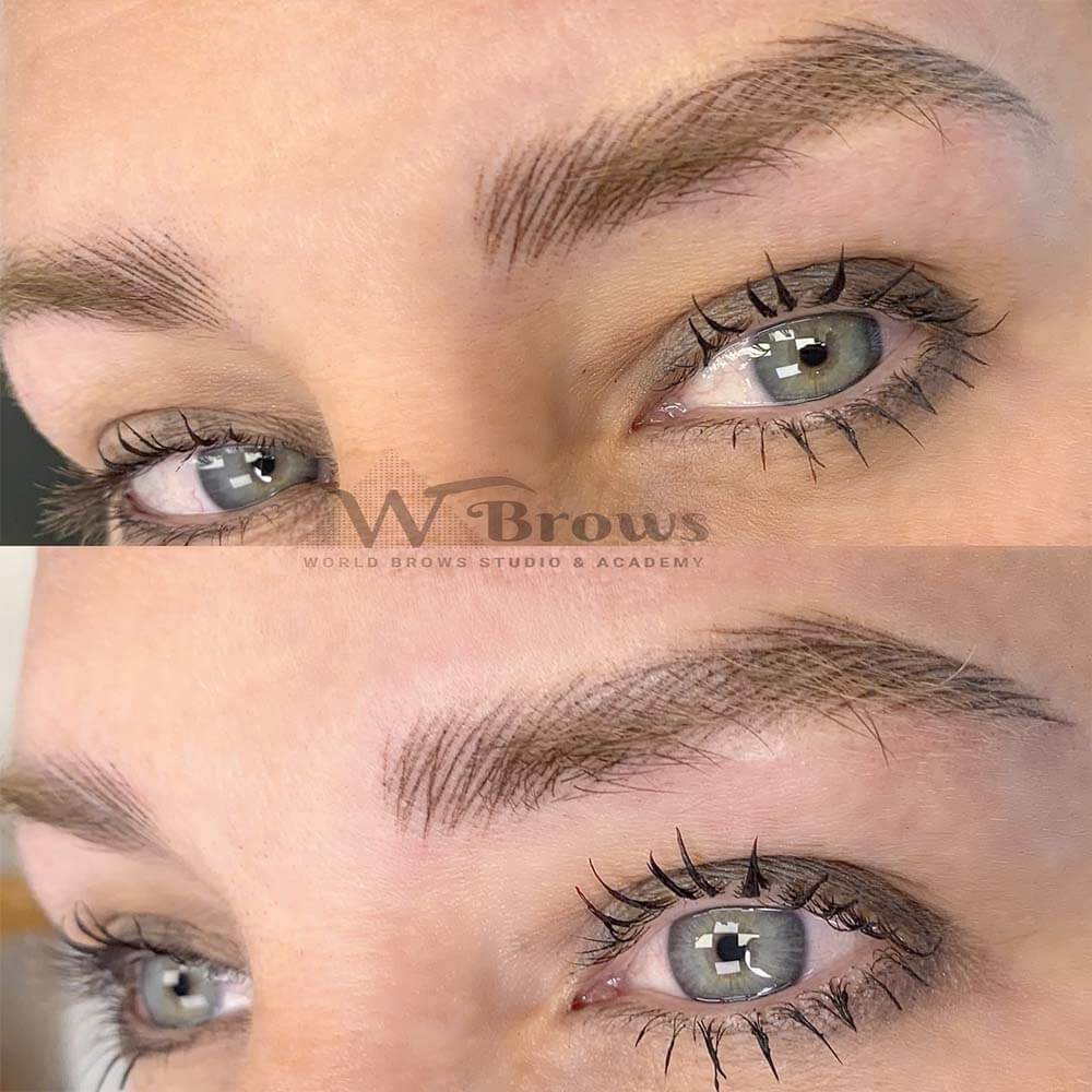 Nano Hair Stroke with Ombre Combo Nano Hair Stroke with Ombre Combo - World Brows Studio & Academy