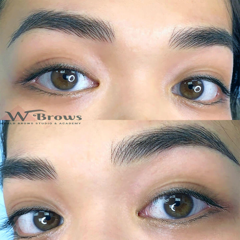 Nano Hair Stroke with Ombre Combo Nano Hair Stroke with Ombre Combo - World Brows Studio & Academy