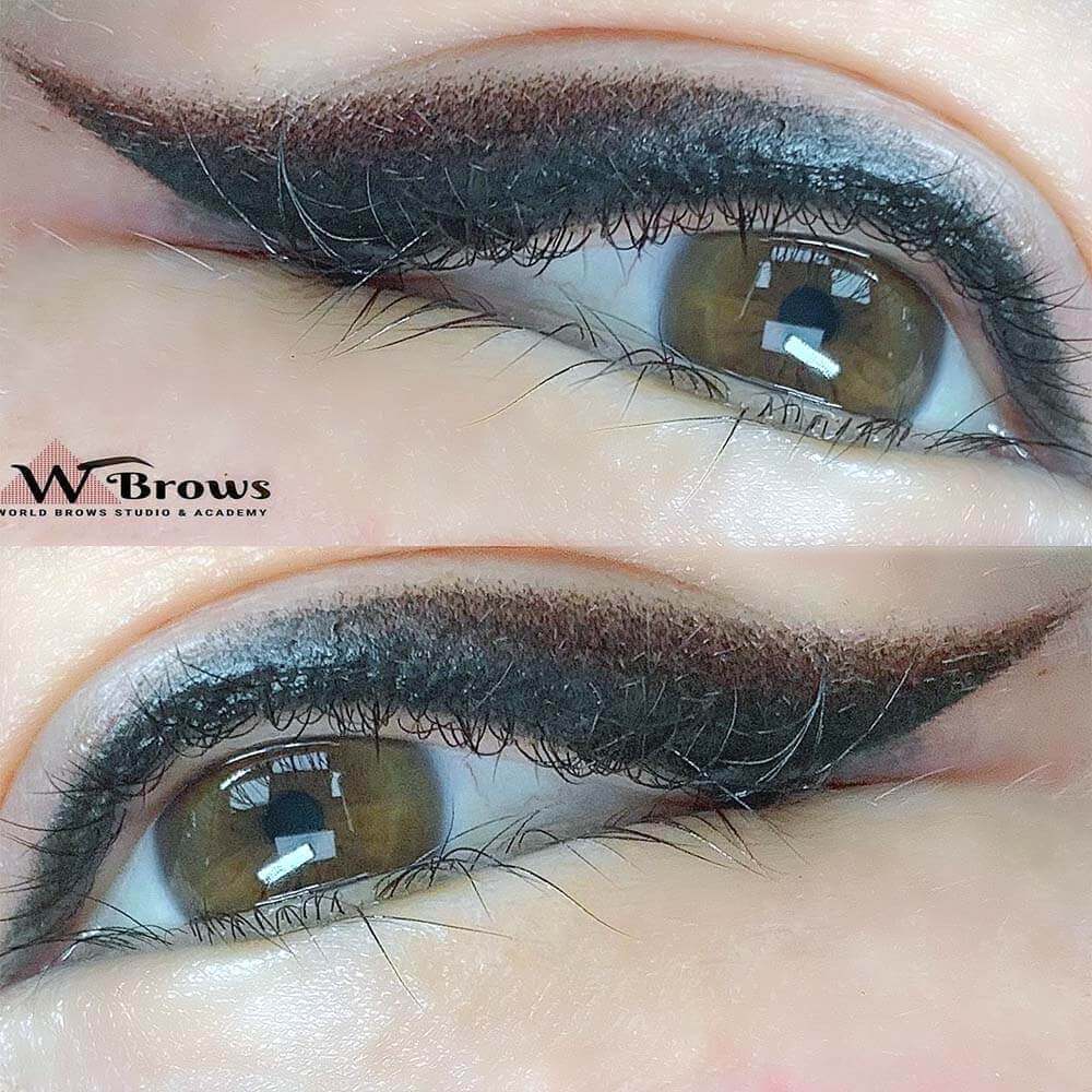 eyeliners world brows studio academy patient ph 11 - World Brows Studio & Academy Eyeliner - World Brows Studio & Academy