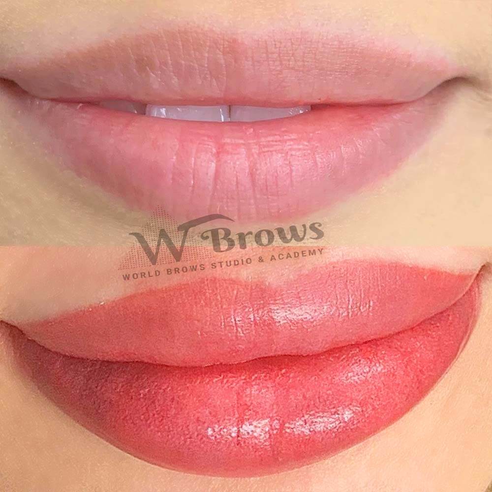 Lips Blushing Lips Blushing - World Brows Studio & Academy