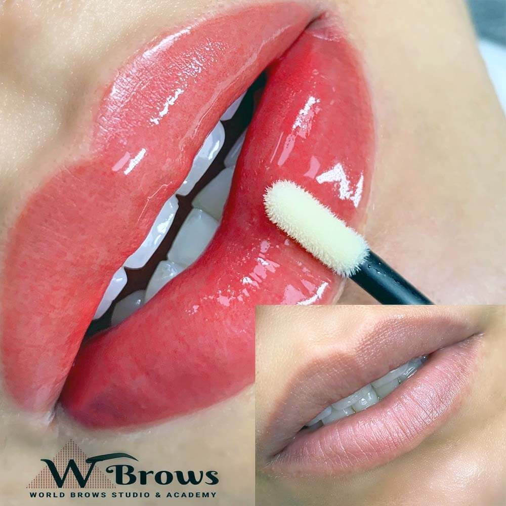 Lips Blushing Lips Blushing - World Brows Studio & Academy