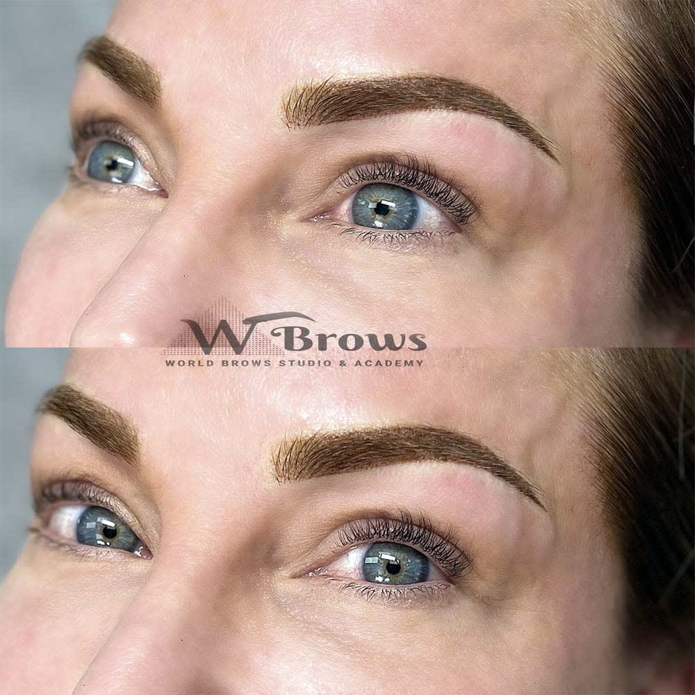 ombre-powder-shading-world-brows-studio-academy-ph-15 ombre powder shading world brows studio academy ph 15 - World Brows Studio & Academy