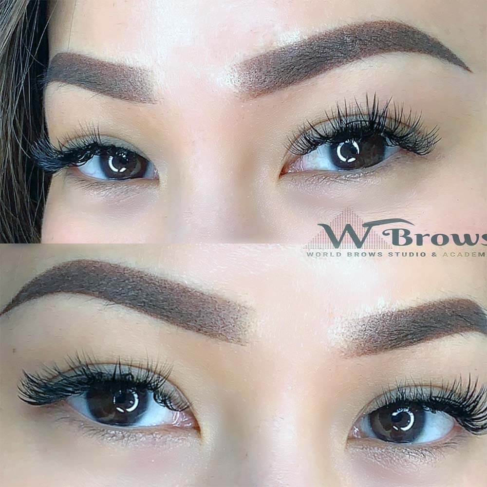 ombre-powder-shading-world-brows-studio-academy-ph-8 ombre powder shading world brows studio academy ph 8 - World Brows Studio & Academy