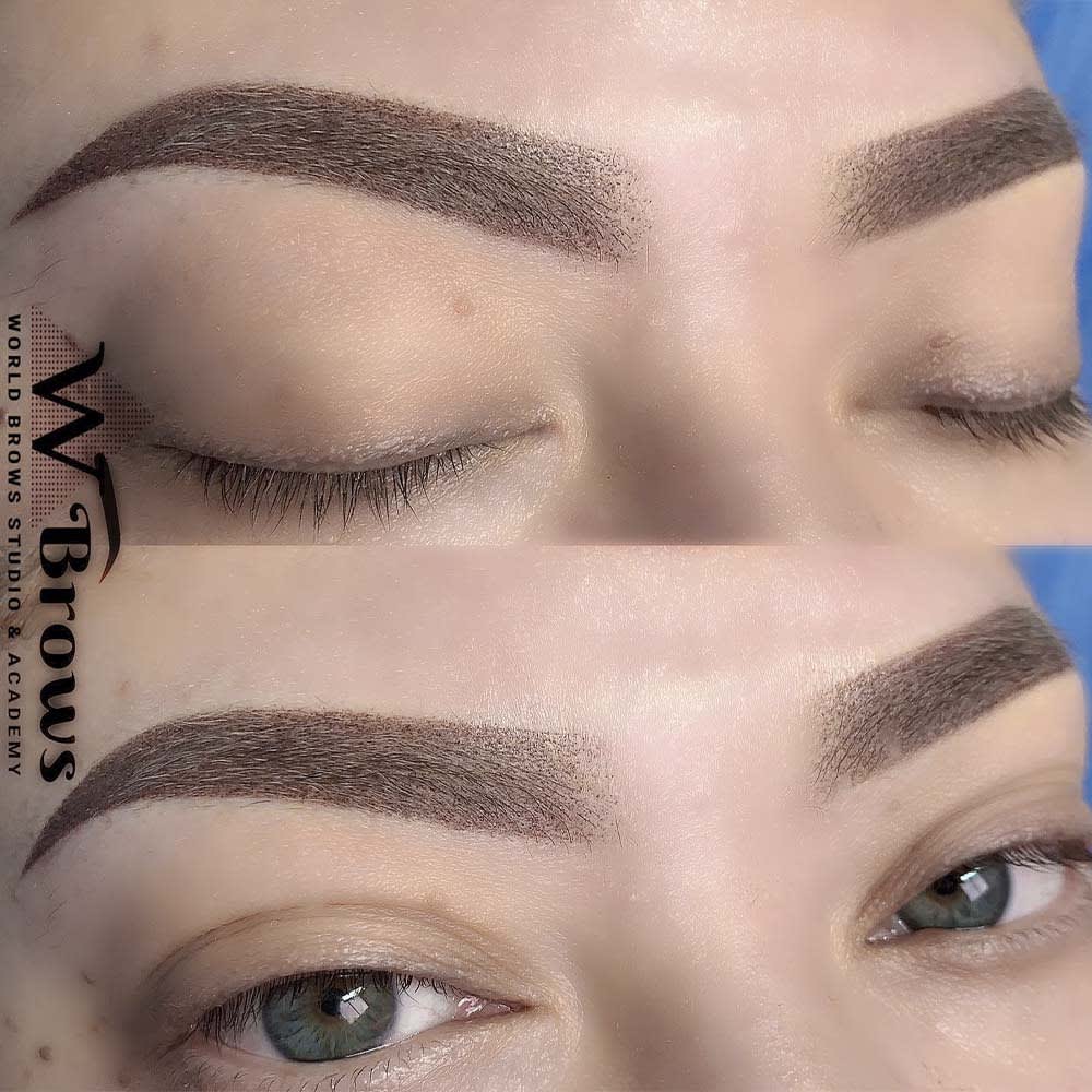 ombre-powder-shading-world-brows-studio-academy-ph-24 ombre powder shading world brows studio academy ph 24 - World Brows Studio & Academy