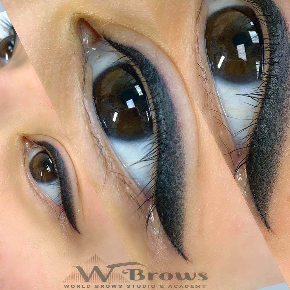 startdust-eyeliners-world-brows-studio-academy-patient-ph6 startdust eyeliners world brows studio academy patient ph6 - World Brows Studio & Academy