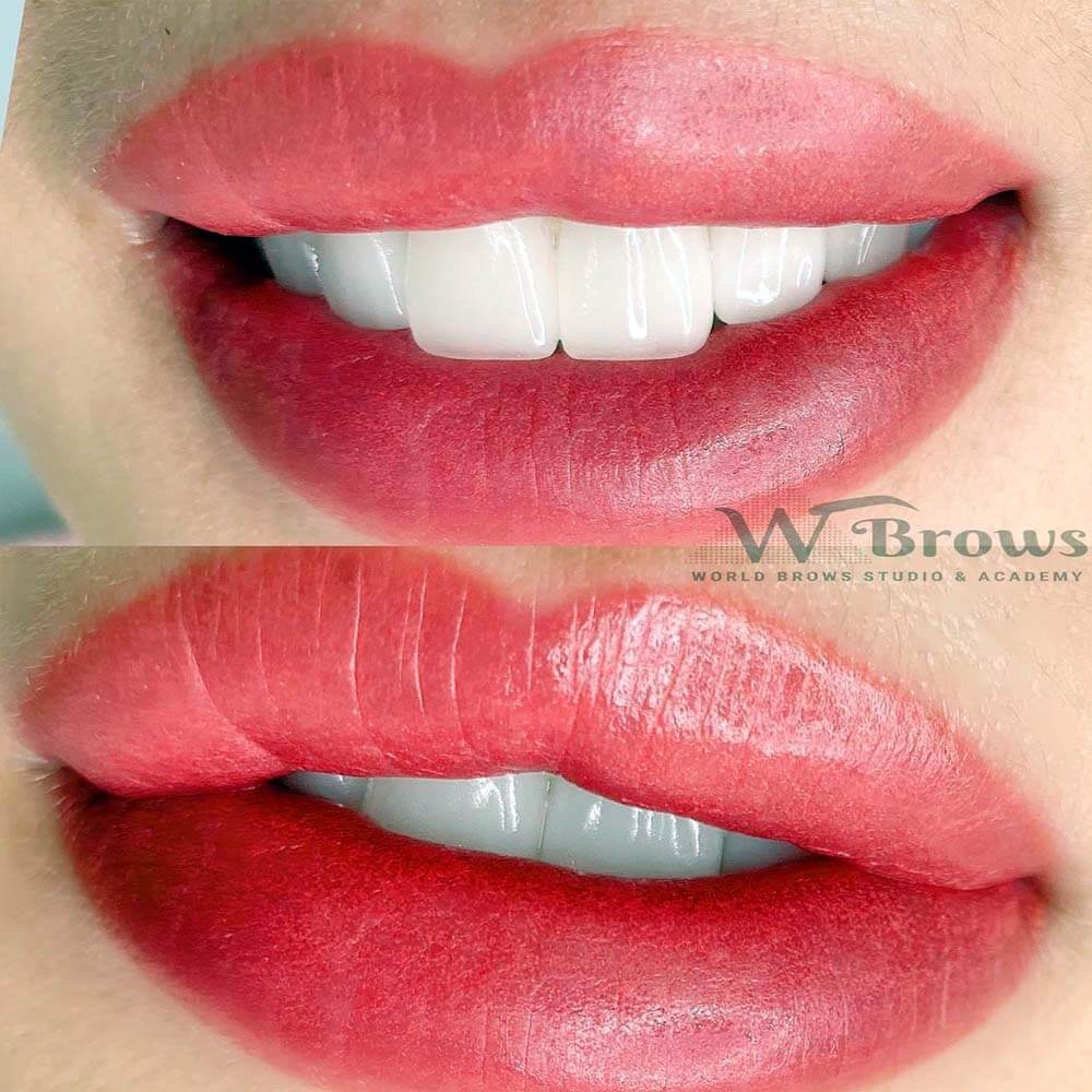 lips-blush-world-brows-studio-academy-patient-ph17 lips blush world brows studio academy patient ph17 - World Brows Studio & Academy