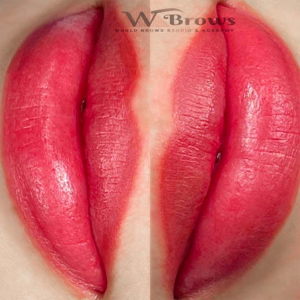 lips-stick-world-brows-studio-academy-patient-ph9 lips stick world brows studio academy patient ph9 - World Brows Studio & Academy