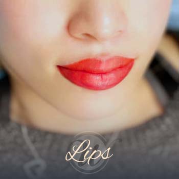 - World Brows Studio & Academy Click to view the Lips Gallery