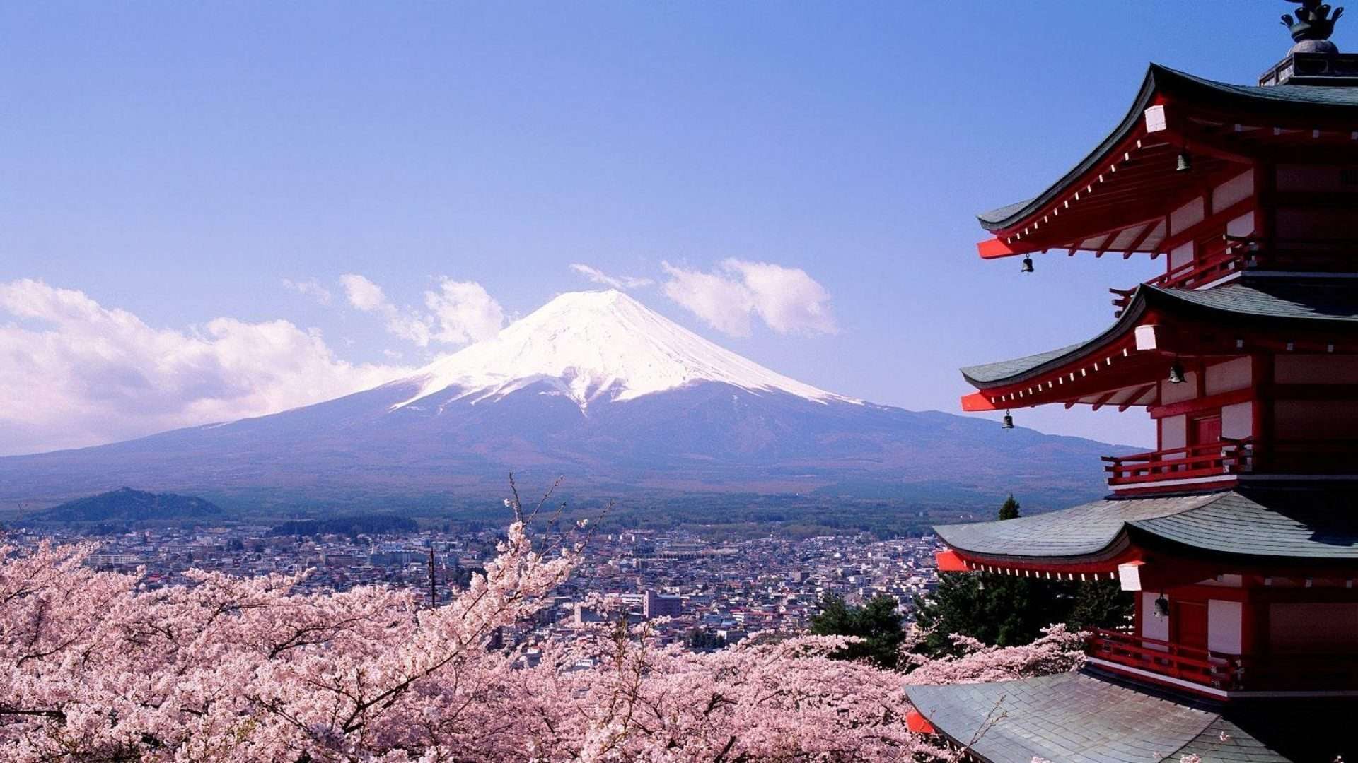 Dónde alojarse en Tokio: las mejores zonas para dormir