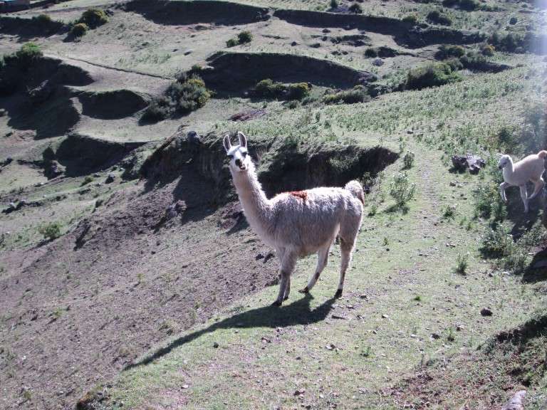 El turismo vivencial en los Andes peruanos