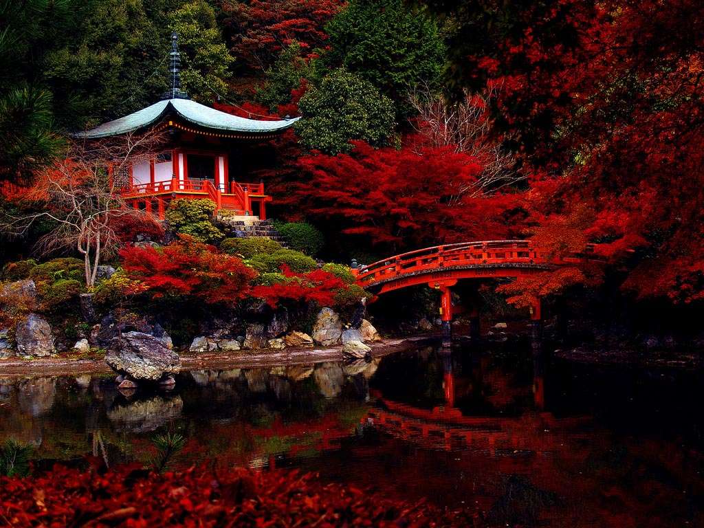 18 experiencias que no te pueden faltar en Japón