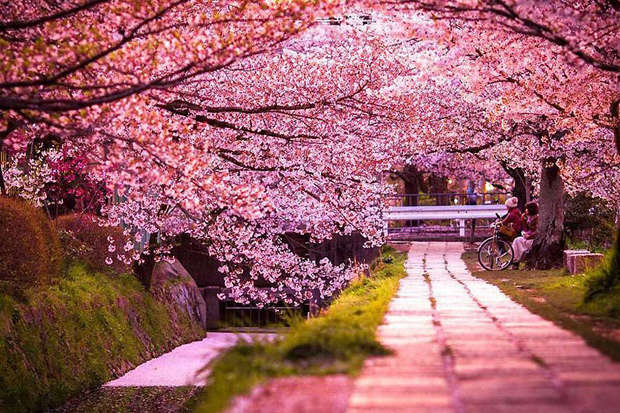 Mitos de Japón