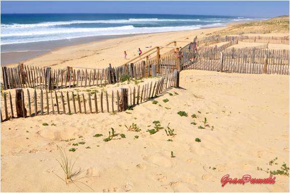 Hossegor, Hablamos de surf