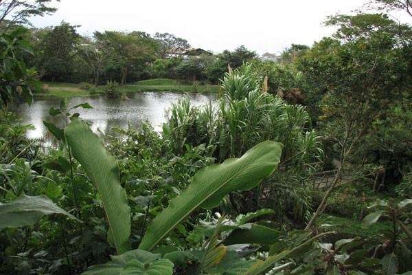 INBioparque: un buen punto para iniciar tu visita a Costa Rica