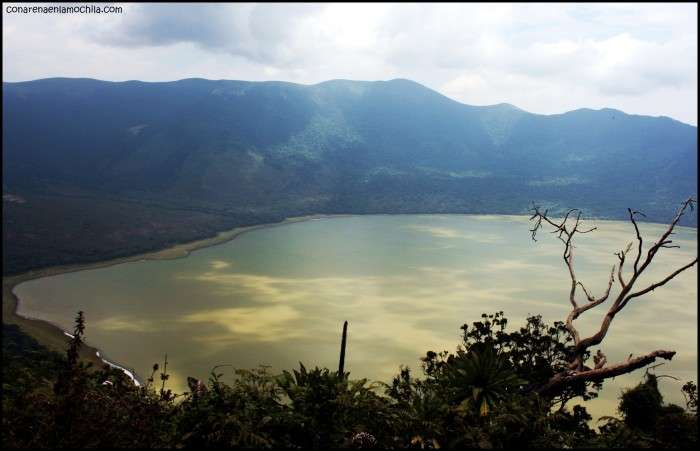 El cráter misterioso del Ngorongoro, el cálido Lago Eyasi y el pequeño Lago Manyara