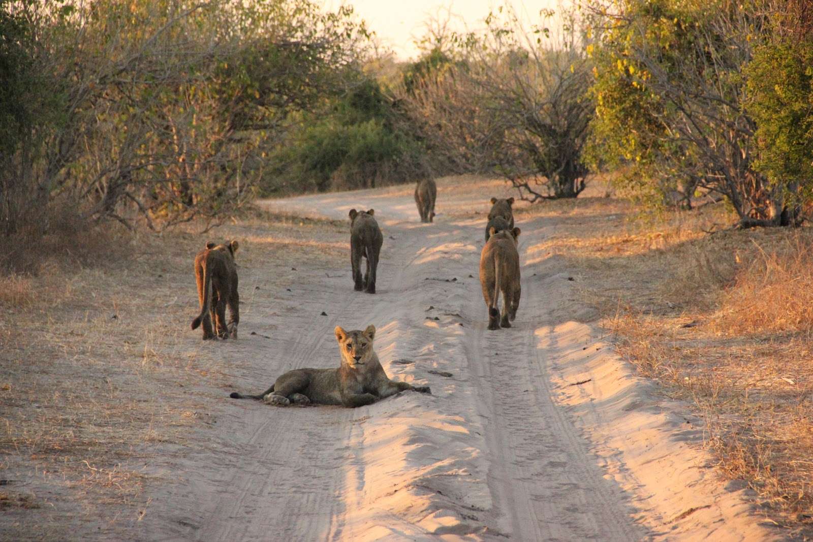 10 lugares que debes visitar en tu viaje a Namibia