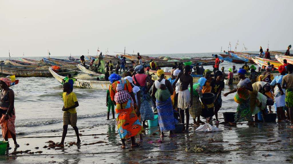 Visitar Tanji, el mercado de pescado de Gambia