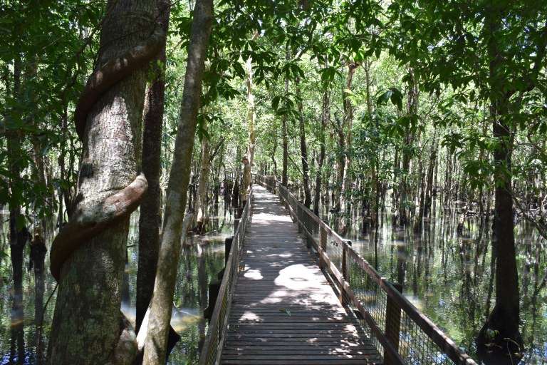 Daintree Rainforest y playa de Cape Tribulation