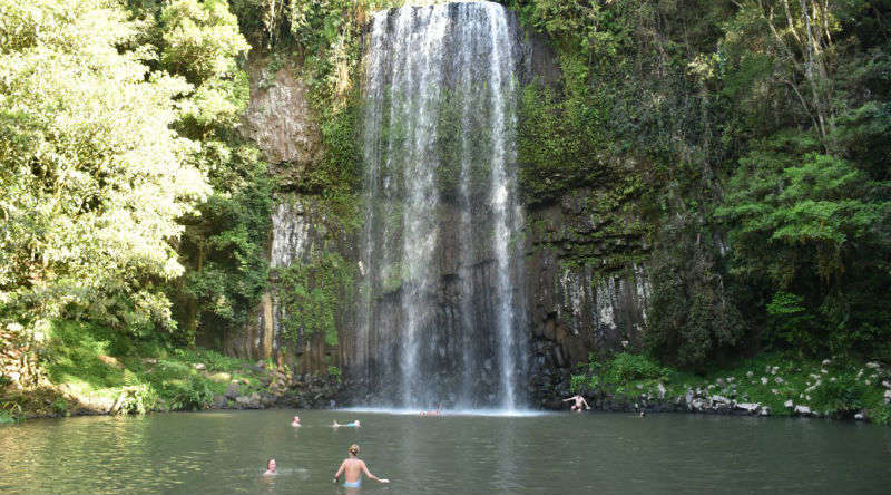 CAIRNS: ATHERTON TABLELANDS Y SUS CASCADAS