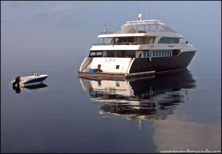Maldivas: Una semana de buceo a bordo del Maldives Blue Force One
