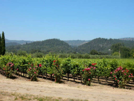 Silverado Trail, la ruta del vino más bonita del Napa Valley