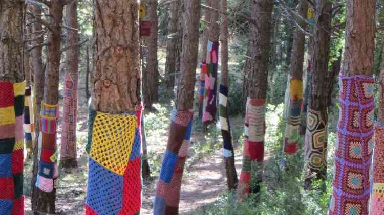 Ruta de los Duendes: sentirse pájaro