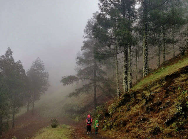 SENDERISMO CON NIÑOS EN GRAN CANARIA: 10 RUTAS DE INICIACIÓN.