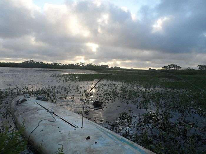 Aguas Dulces: entrenando para el apocalypsis