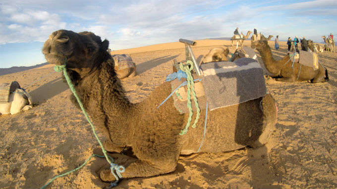 Durmiendo en el desierto de Zagora