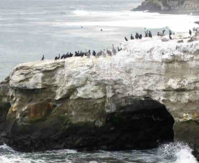 Todos vienen a Santa Cruz, California