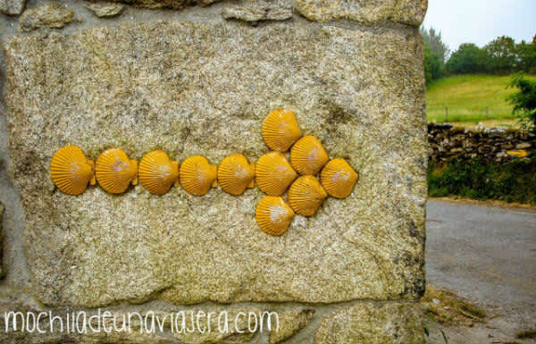 El Camino de Santiago: un camino que lo cambió todo
