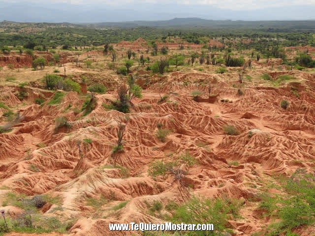 Cómo llegar y viajar barato al desierto de la Tatacoa, en Colombia