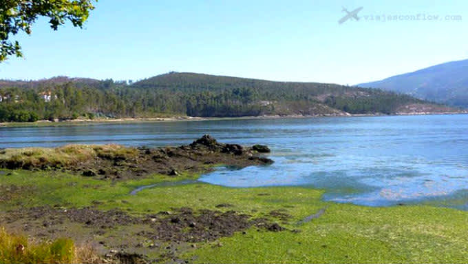 De ruta por las Rías Baixas: Un lugar llamado Rial