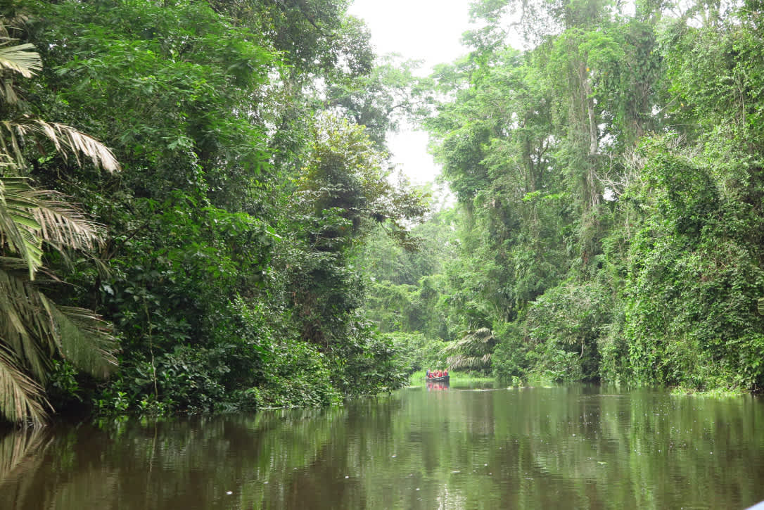 Descubriendo los parques nacionales de Costa Rica en 11 días