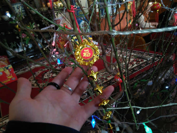 Año nuevo en Vietnam